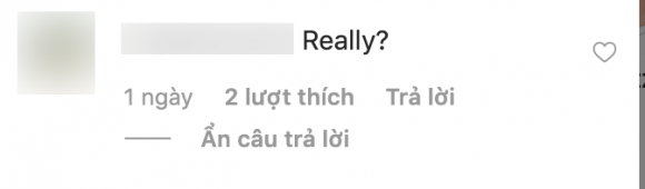 hoa hậu Phạm Hương, sao Việt